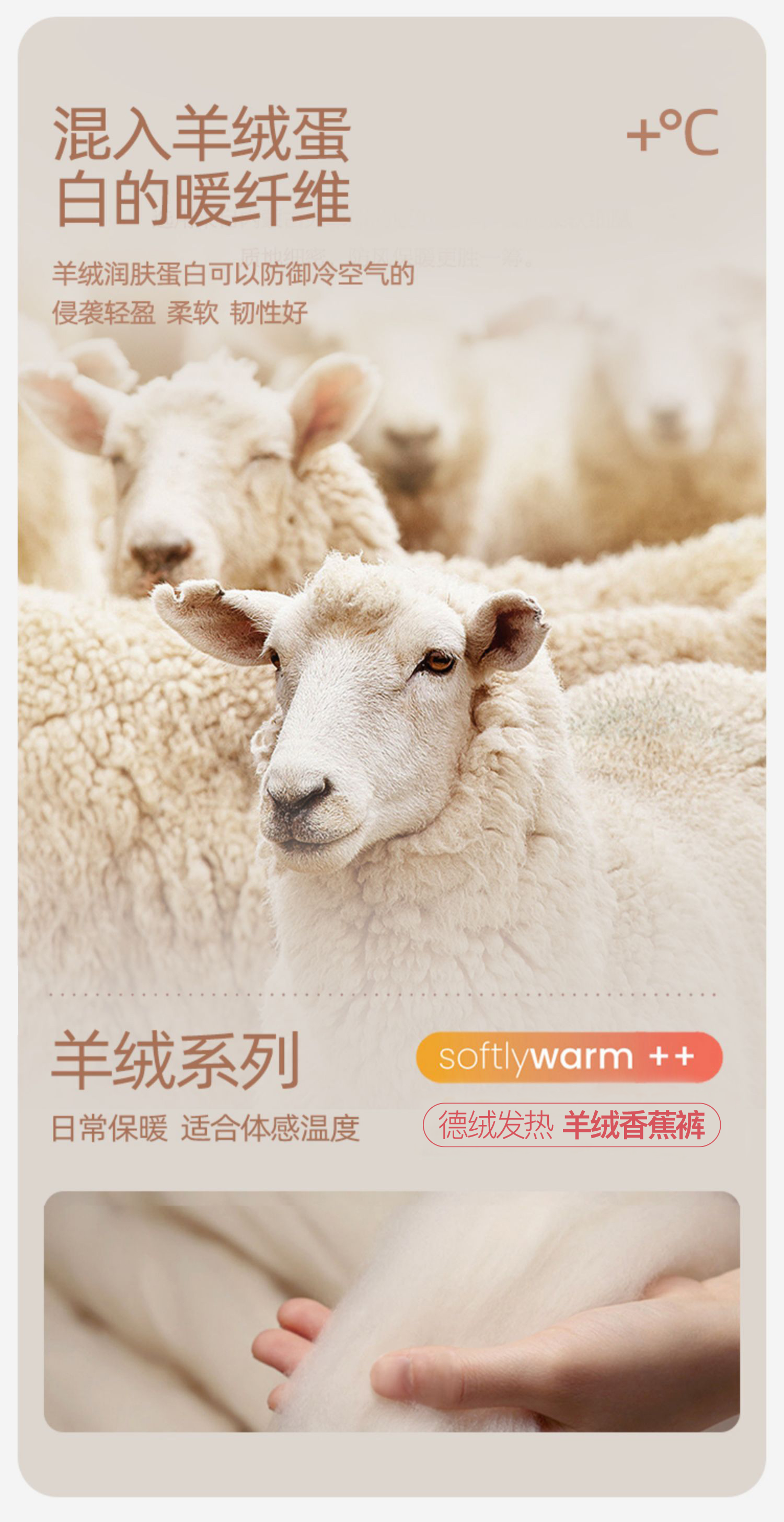 Designer Wool Pants - Statement Curved Hem for a Modern Look-2500244